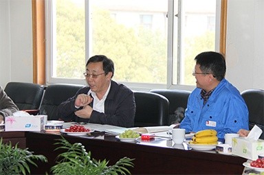 2013年3月18日，时任国度工信部节能司副司长杨铁生一行莅临公司参观领导