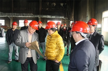 2012年1月31日，时任黄冈市委书记鲁俊携带市发改委等市级部门掌管人到公司调研